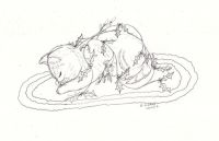 Holly and mistletoe kitty